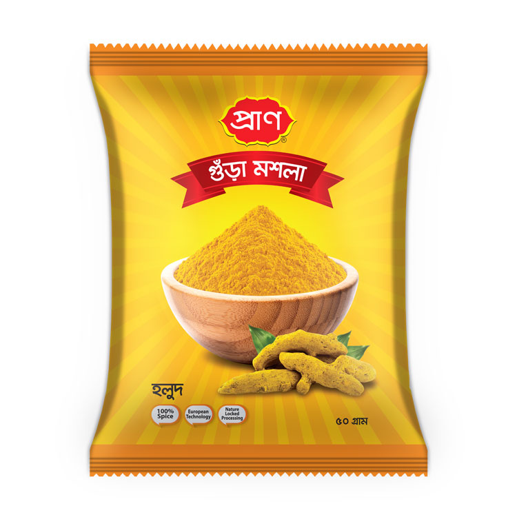 Pran Turmeric Powder